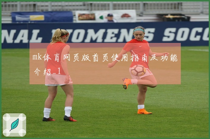 mk体育网页版首页使用指南及功能介绍_1